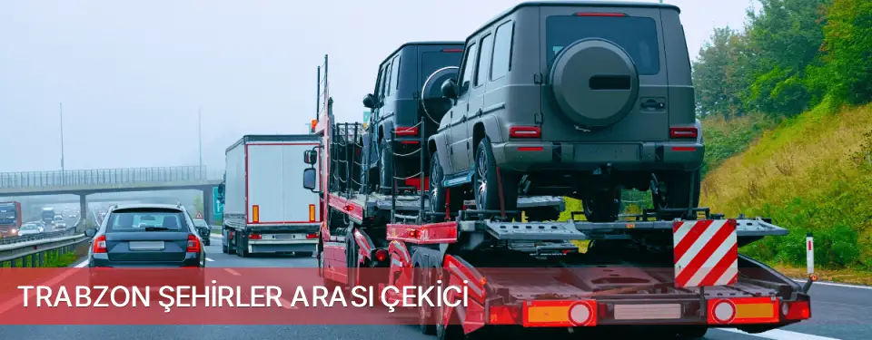 Trabzon İli Şehirler Arası Çekici